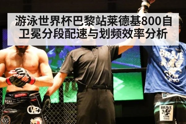游泳世界杯巴黎站莱德基800自卫冕分段配速与划频效率分析